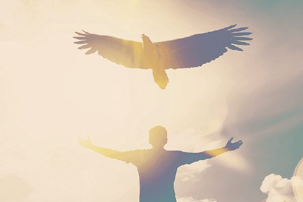 laws-of-the-soul-tcc laws-of-the-soul-tcc